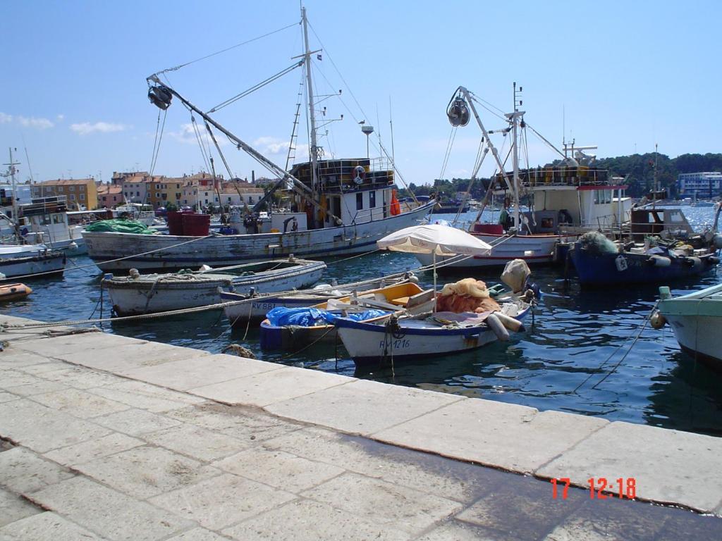 Apartments Villa Martinuzzi Rovinj Bagian luar foto